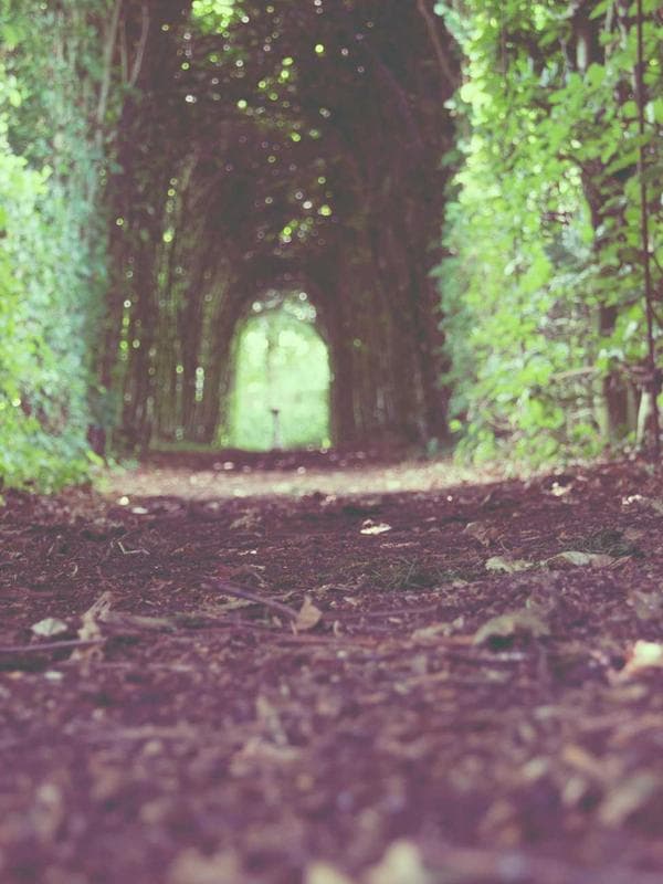 Celebracion elegante al aire libre